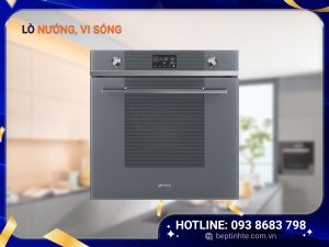 Lò nướng, Vi sóng