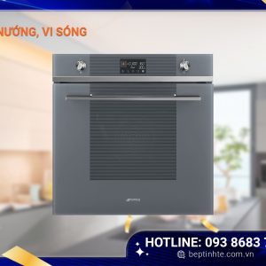 Lò nướng, Vi sóng