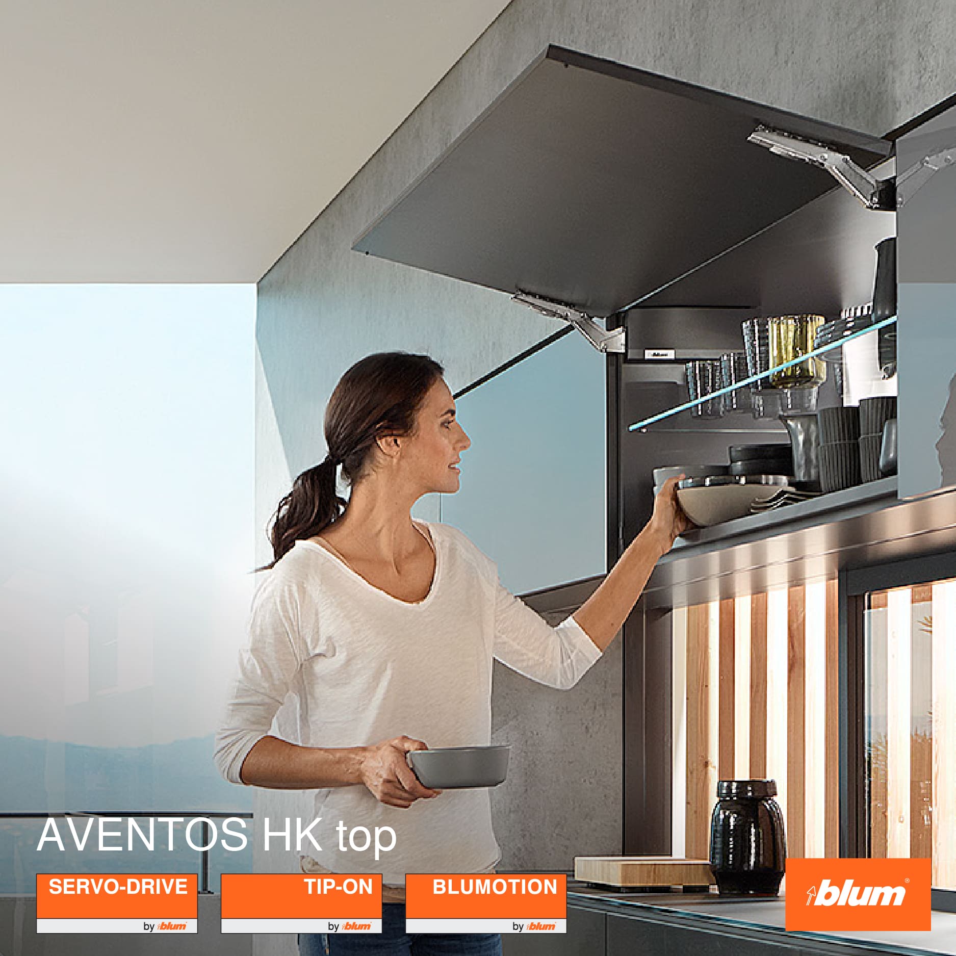 Tay nâng Blum 1 cánh