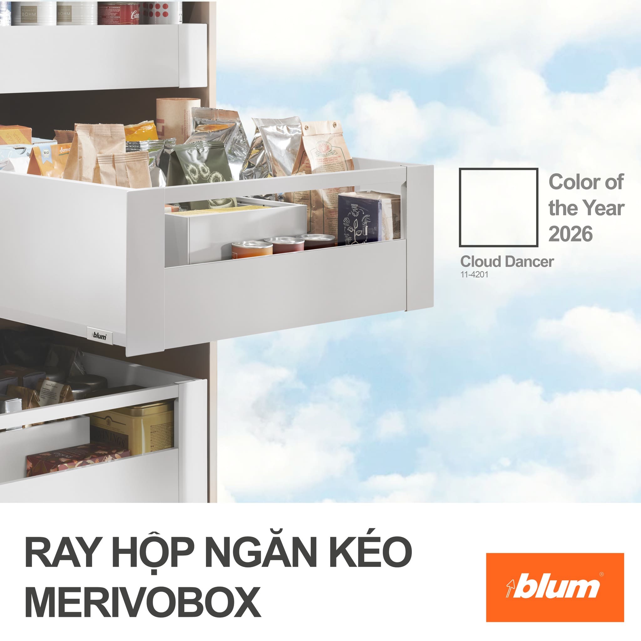 Ray hộp Blum MERIVOBOX