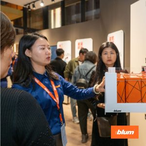Kích thước Ray âm Blum